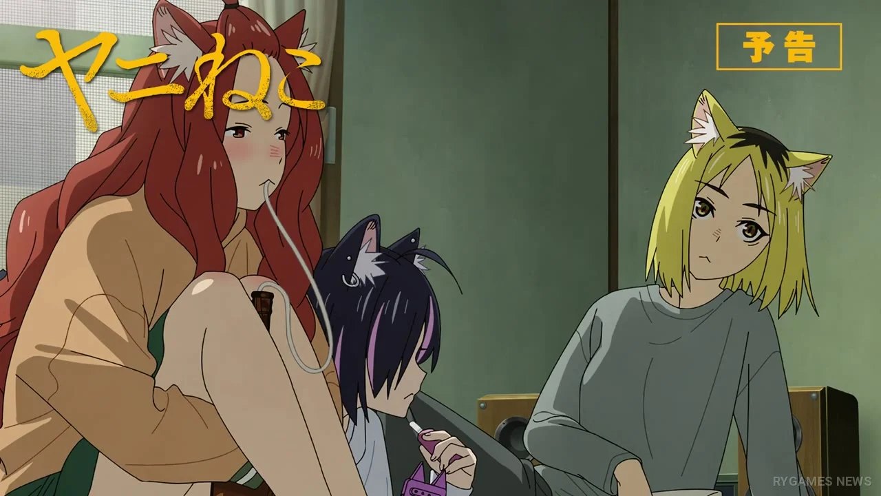 Cuplikan Preview Yanineko Episode 9 - gambar 7