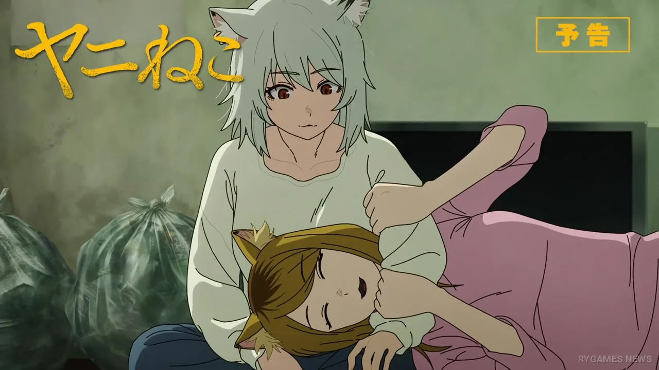 Cuplikan Preview Yanineko Episode 9 - gambar 8