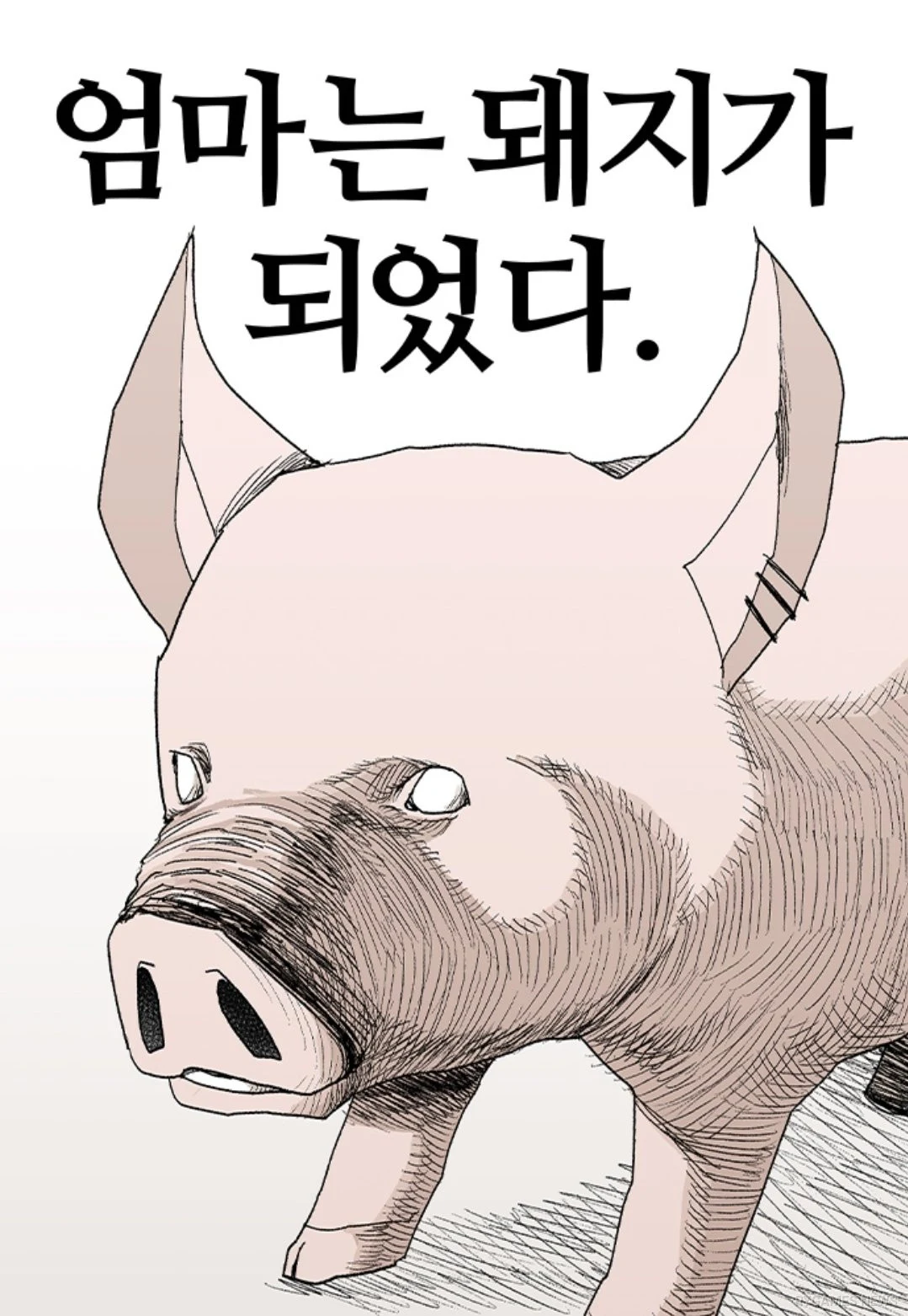 Sampul manhwa 엄마는 돼지가 되었다 (Mom Became a Pig) yang sedang tayang di Naver Webtoon